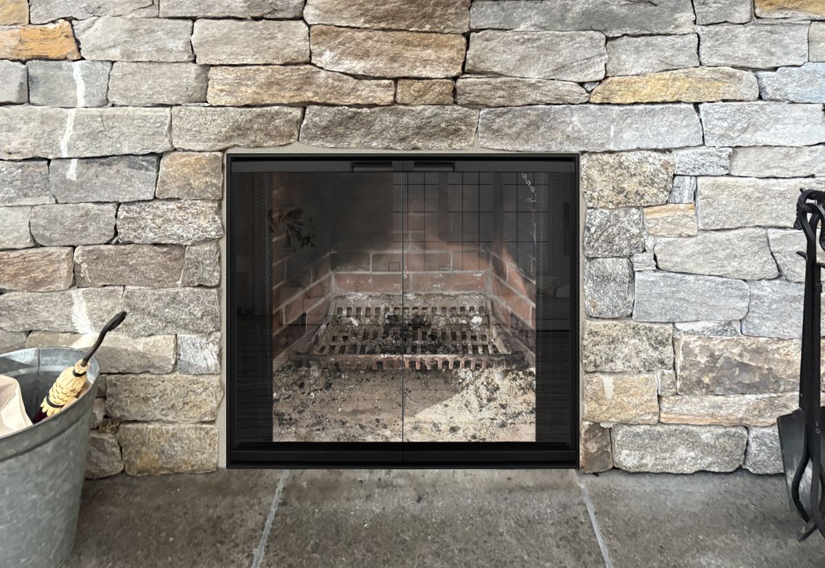 Envision Fireplace Door