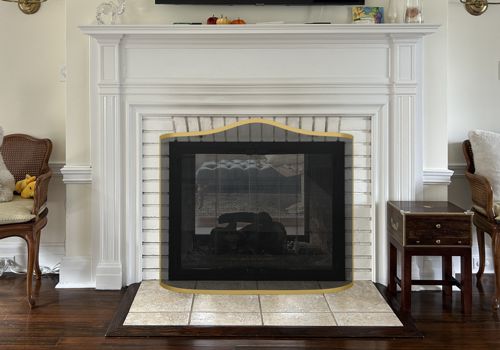 Fireplace Door Project #21080