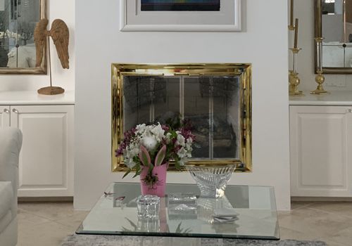 Fireplace Door Project #21112