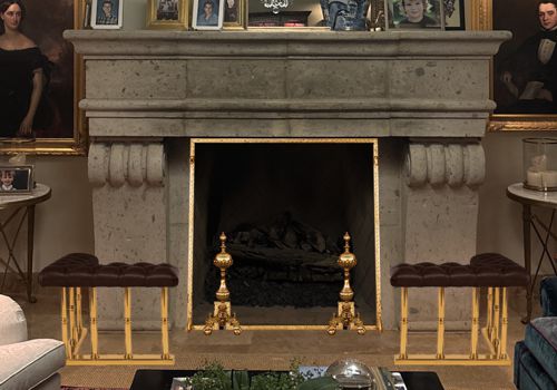 Fireplace Door Project #21116