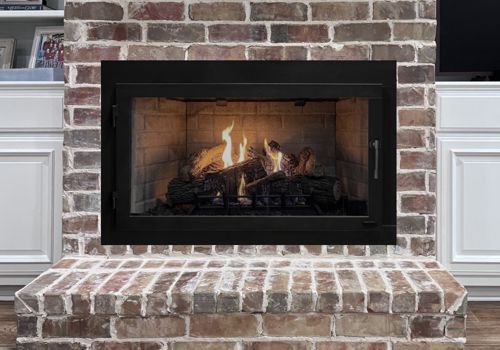 Fireplace Door Project #21124