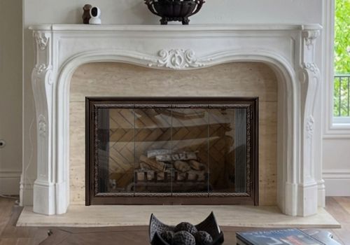 Fireplace Door Project #21127