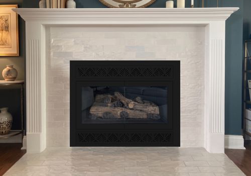 Fireplace Door Project #21149