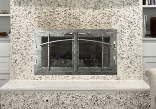 Fireplace Door Project #21150