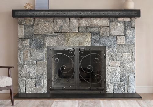 Fireplace Door Project #21208
