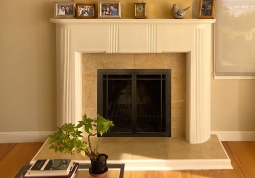 Fireplace Door Project #21336