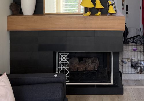Fireplace Door Project #21347